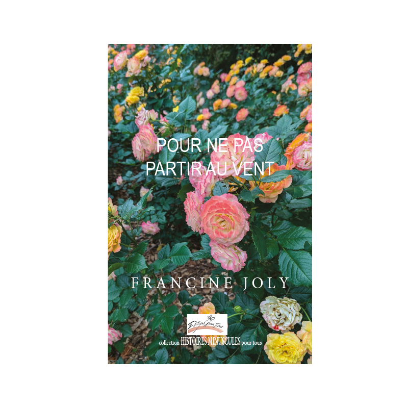 Pour ne pas partir au vent – ePub